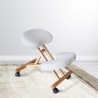 Orthopädischer schwedischer Bürohocker ergonomischer Kniestuhl Balancewood Angebot