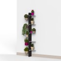 Wanddesign Pflanzenhalter für Innenbereich mit 10 Regalen Zia Flora WMH Katalog