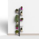 Wanddesign Pflanzenhalter für Innenbereich mit 10 Regalen Zia Flora WMH Auswahl