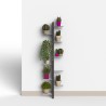 Wanddesign Pflanzenhalter für Innenbereich mit 10 Regalen Zia Flora WMH Auswahl