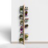Wandhalterung für Pflanzen Töpfchen Design 13 Regale Innenbereich Zia Flora WH Katalog