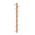 Wandhalterung für Pflanzen Töpfchen Design 13 Regale Innenbereich Zia Flora WH Lagerbestand
