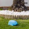 Moderner Spielzeug-Schweinchen für Kinder Peggy Preis