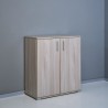 Moderner Holzschrank mit 2 Fächern für Wohnzimmer oder Büro KimSpace 2OP Modell