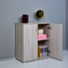 Moderner Holzschrank mit 2 Fächern für Wohnzimmer oder Büro KimSpace 2OP Aktion