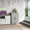 Moderner Mehrzweck-Wohnzimmerschrank Lesly, 2 Türen, 3 Fächer Maße