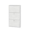 Schmaler Schuhschrank 3 Türen, Platz für 7 Paar Schuhe, modernes Design Kopen Preis