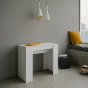 Ausziehbarer Konsolentisch Esstisch 90x48-308cm weißes Holz Basic Sales