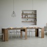 Ausziehbarer Design-Konsolentisch 90x48-308cm Esstisch Holz Basic Noix Katalog