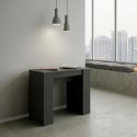 Ausziehbarer Konsolentisch 90x48-308cm, modernes Design, anthrazit Basic Report Sales