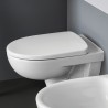 Wandhängendes WC Geberit Selnova mit Unterputz-Spülkasten für Badezimmer-Sanitäranlagen Verkauf