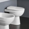 Wandstehende WC-Schüssel mit vertikalem Abgang, Geberit Selnova Sanitärkeramik Verkauf