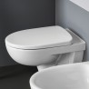 WC-Sitz Toilettensitz Badezimmer Sanitärkeramik Geberit Selnova