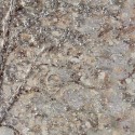 Handgemaltes Leinwandbild Silberbaum mit Rahmen 100x100cm W641 Katalog