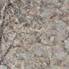 Handgemaltes Leinwandbild Silberbaum mit Rahmen 100x100cm W641 Katalog