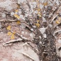 Handgemaltes Bild auf Leinwand Weißer Baum mit Rahmen 60x120cm Z643 Katalog