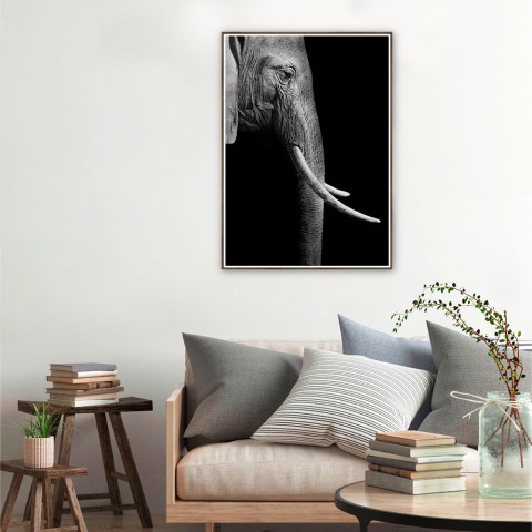 Elefantenfoto Tiere Poster mit Rahmen 50x70cm Unika 0017 Aktion