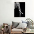 Elefantenfoto Tiere Poster mit Rahmen 50x70cm Unika 0017 Aktion