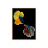 Fotodruck buntes Fischbild mit Rahmen 30x40 cm Unika 0021 Verkauf