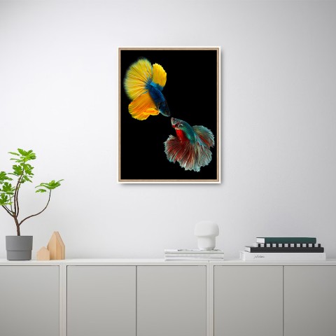 Fotodruck buntes Fischbild mit Rahmen 30x40 cm Unika 0021 Aktion