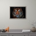 Fotodruck Poster Tiere Tiger Rahmen 30x40cm Unika 0027 Aktion