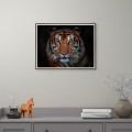 Fotodruck Poster Tiere Tiger Rahmen 30x40cm Unika 0027 Aktion