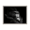 Fotodruck Gorilla Tierbild mit Rahmen 30x40cm Unika 0026 Verkauf