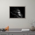 Fotodruck Gorilla Tierbild mit Rahmen 30x40cm Unika 0026 Aktion