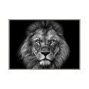 Wandbild Fotografie schwarz-weißer Löwe mit Rahmen 70x100cm Unika 0028 Verkauf
