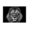 Wandbild Fotografie schwarz-weißer Löwe mit Rahmen 70x100cm Unika 0028 Verkauf