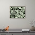 Kunstdruck Fotografie Poster Pflanzen Blätter 30x40cm Unika 0055 Aktion