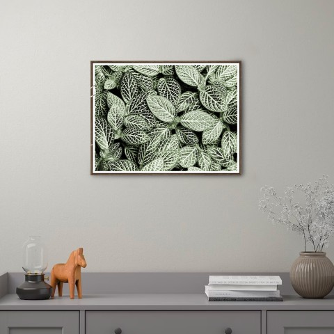 Kunstdruck Fotografie Poster Pflanzen Blätter 30x40cm Unika 0055 Aktion