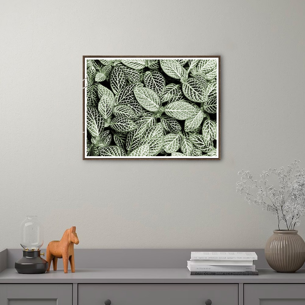 Kunstdruck Fotoposter Pflanzen Blätter 30x40cm Unika 0055