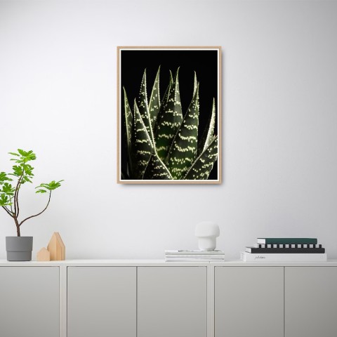 Bilddruck Fotografieposter Blätter Aloe Rahmen 30x40cm Unika 0060