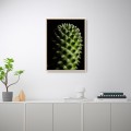Foto Leinwandbild Pflanze Blume Kaktus Rahmen 30x40cm Unika 0061 Aktion