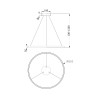 LED-Hängelampe Kreis Schwarz Ø 80cm Rim Maytoni Angebot