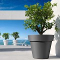 Großer Pflanzkübel ø 80 cm für Außenbereich, Bar, Garten, Terrasse Cornaglia Aktion