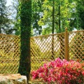 Sichtschutzgitter Holz für Kletterpflanzen 120x180cm Garten Trendy Aktion