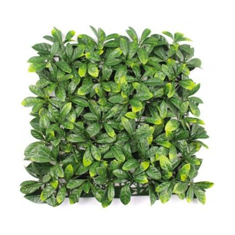 Gartenzaun künstliche Hecke Sichtschutz 4 Stück 50x50cm Lauro Ceraso Plus Aktion