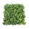 Gartenzaun künstliche Hecke Sichtschutz 4 Stück 50x50cm Lauro Ceraso Plus Aktion