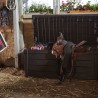 Multifunktionale Aufbewahrungsbox für den Außenbereich aus Harz für Gartenwerkzeuge Brightwood Keter Eigenschaften