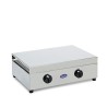 Edelstahl Gasherd 2 Flammen LPG Erdgas 200ACCGPS CF Parker Sales