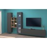 Moderne Wohnwand Vitrine TV-Schrank Bücherregal Holz Rold RT Sales