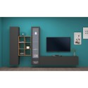 Moderne Wohnwand Vitrine TV-Schrank Bücherregal Holz Rold RT Rabatte
