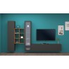 Moderne Wohnwand Vitrine TV-Schrank Bücherregal Holz Rold RT Rabatte