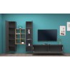 Moderne Wohnwand Vitrine TV-Schrank Bücherregal Holz Rold RT Katalog