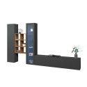 Moderne Wohnwand Vitrine TV-Schrank Bücherregal Holz Rold RT Angebot