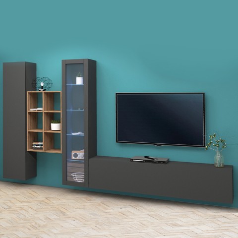 Moderne Wohnwand Vitrine TV-Schrank Bücherregal Holz Rold RT Aktion
