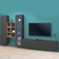 Moderne Wohnwand Vitrine TV-Schrank Bücherregal Holz Rold RT Aktion