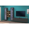 Moderne hängende Wohnwand TV-Regal Holz mit 2 Vitrinen Yves RT Katalog